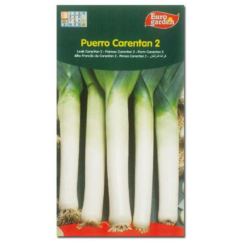 

MIBRICOTIENDA semillas fito horticolas puerro verde de carentan 2 00261 (caja 10 unidades)