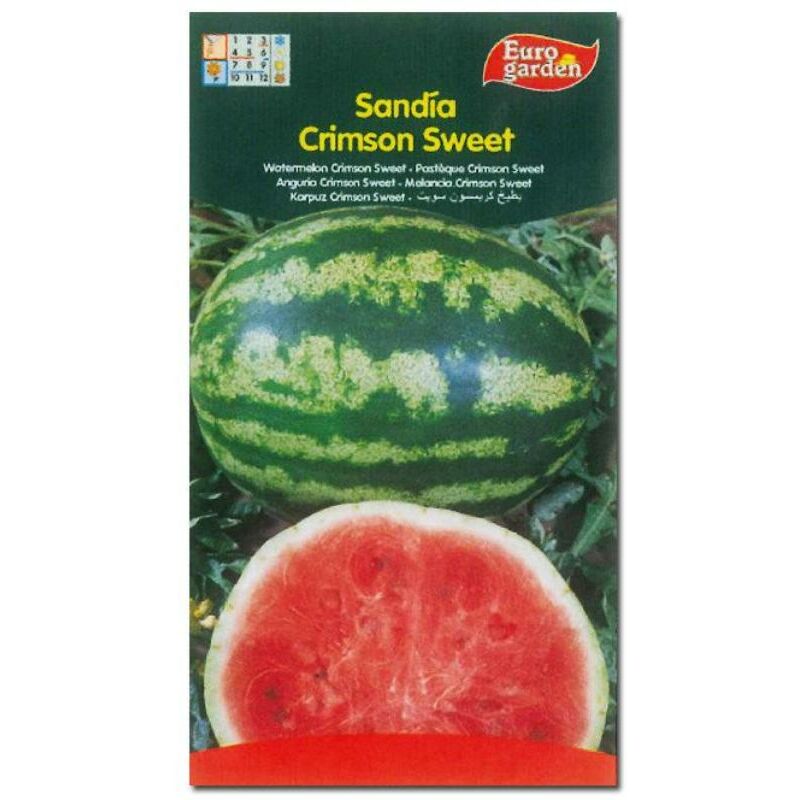 

semillas fito horticolas sandia crison sweet 00144 (caja 10 unidades) - Mibricotienda