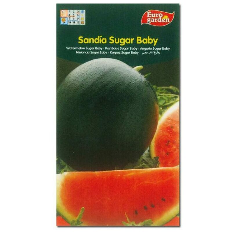 

semillas fito horticolas sandia sugar baby 00287 (caja 10 unidades) - Mibricotienda
