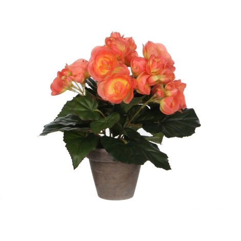 Mica Begonia im Topf lachs, 25 x 20 cm Kunstpflanzen