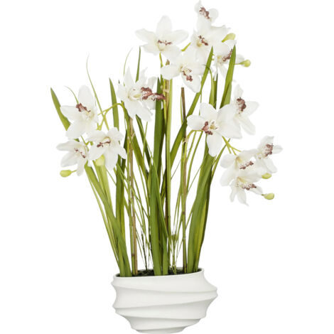 Mica Cymbidium im Topf creme 49 x 40 x 81 cm Eingetopft