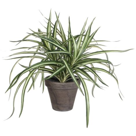 Mica Dracaena weiß im grauen Topf 34 x 40 cm Kunstpflanzen