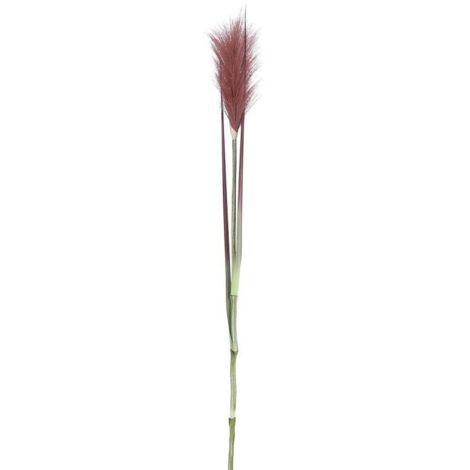 Mica Federgras rot 72 x 10 cm Ast, Stängel & Zweig