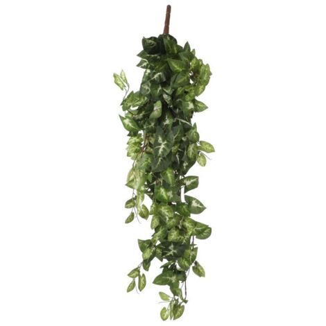 Mica künstliche Fittonia hängend grün 80 x 30 x 15 cm Kunstpflanzen