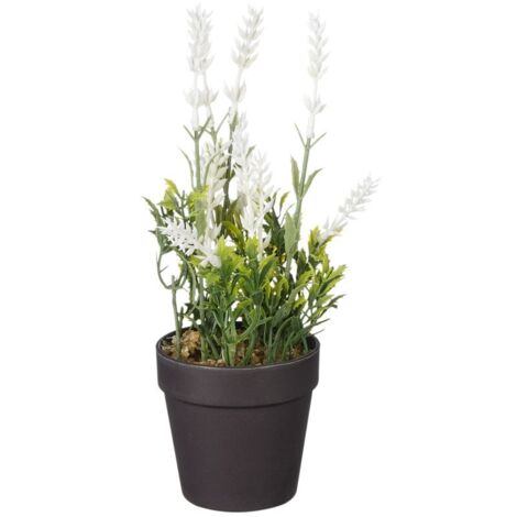 Mica künstlicher Lavendel im Topf weiß 24 x 10 cm Dekoblumen