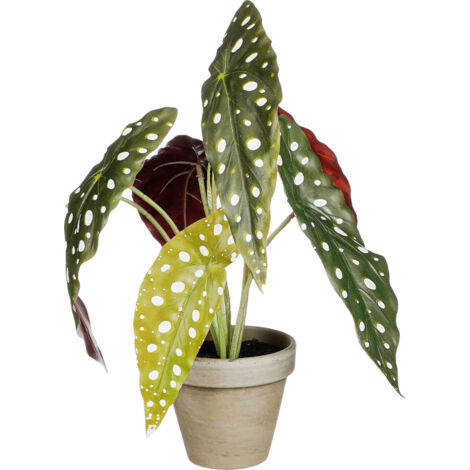 Mica Kunstpflanze Begonie Maculata grün im Topf Ø 21 x 28 cm Eingetopft