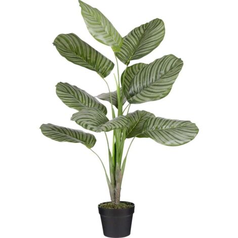 Mica Kunstpflanze Calathea orbifolia im Topf grün 90 x 60 cm Kunstpflanzen