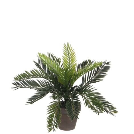 Mica Kunstpflanze Cycas Palme grün im Topf 33 x 34 cm Kunstpflanzen