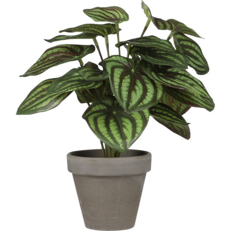 Mica Kunstpflanze Peperomia grün im Topf Ø 23 x 24 cm Zimmerpflanze