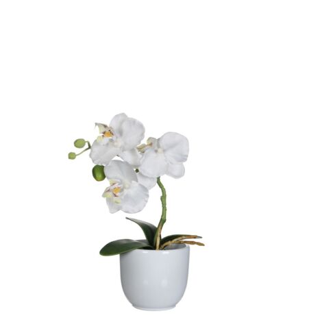 Mica Kunstpflanze Phalaenopsis im Topf weiß, 26 x 12 cm Kunstpflanzen