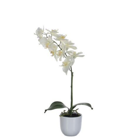 Mica Kunstpflanze Phalaenopsis im Topf weiß, 60 x 16 cm Kunstpflanzen