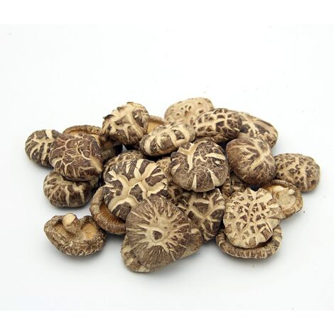 Micelio en Grano de Setas Lentinula Edodes (Shiitake). 100 Gr. Semillas