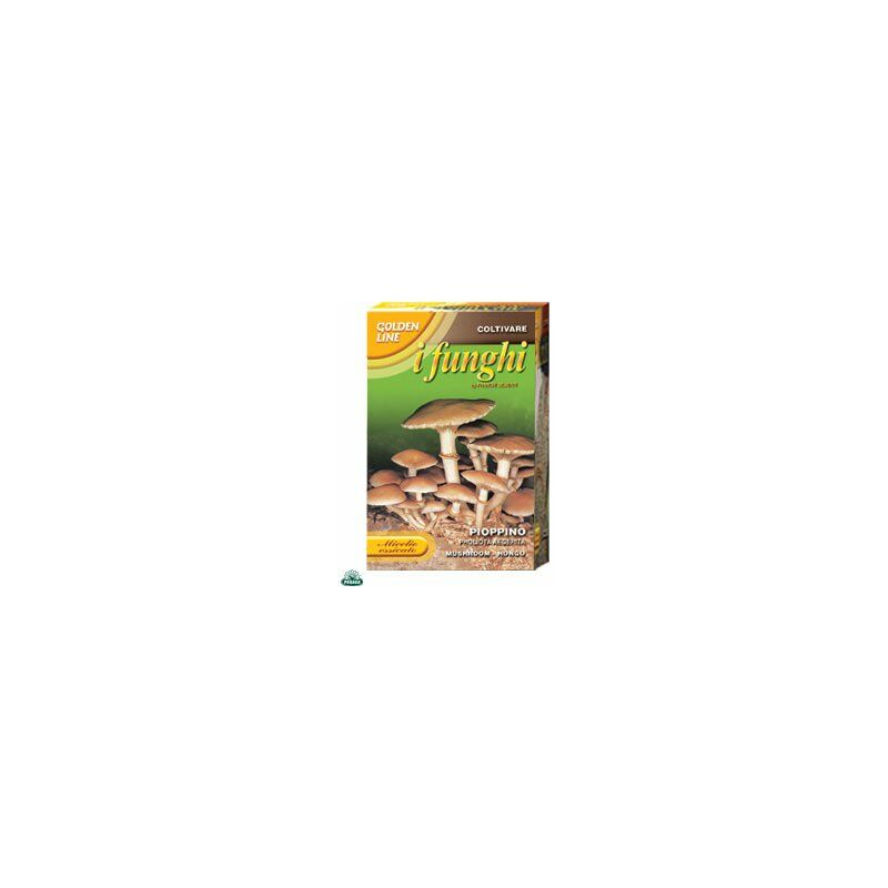 Mycélium séché de champignon de peuplier pack de 100GR.