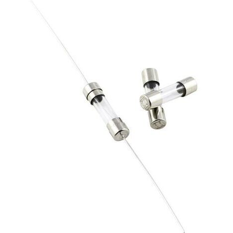 Micro-fusible ESKA 522.416 (Ø x L) 5 mm x 20 mm 0.8 A 250 V ultra-temporisé -TT- 10 pc(s) S52033