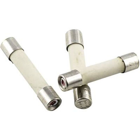 Micro-fusible ESKA 527.25 (Ø x L) 5 mm x 25 mm 6.3 A 250 V rapide -F- 10 pc(s) S56705