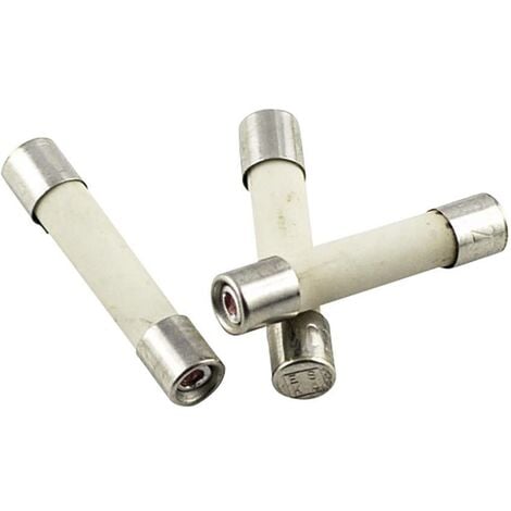 Micro-fusible ESKA 527.27 (Ø x L) 5 mm x 25 mm 10 A 250 V rapide -F- 10 pc(s) S56990