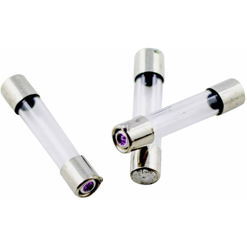 Micro-fusible Eska 528.020 (ø x l) 5 mm x 25 mm 2 a 250 v semi-temporisé -mT- 10 pc(s)