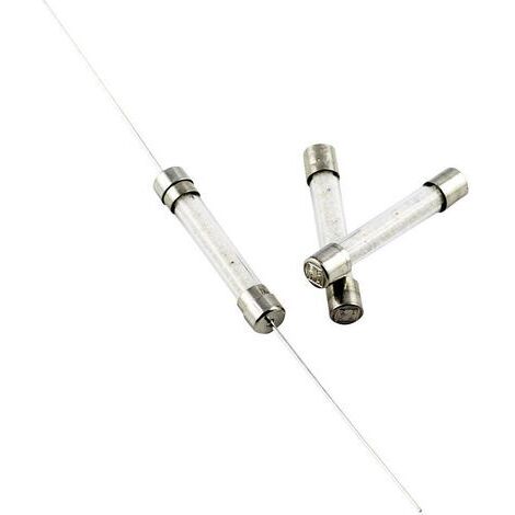 Micro-fusible ESKA 530.621 (Ø x L) 5 mm x 30 mm 2.5 A 500 V rapide -F- 1 pc(s) S25433