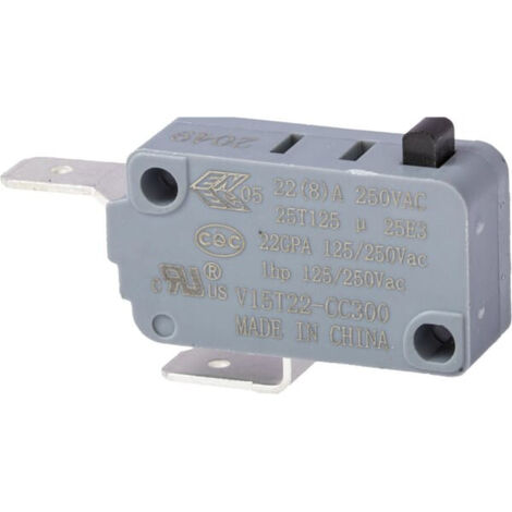 Micro rupteur KARCHER 66318070