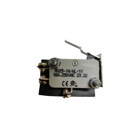 Microrupteur Levier RS PRO, Vis, SPDT, 16 A @ 250 V CA 250V ( Prix pour 1 )