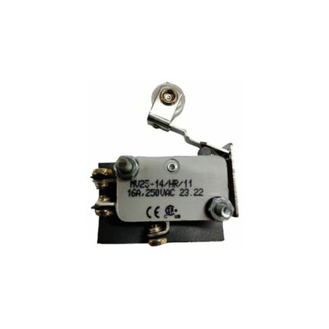 Microrupteur Levier RS PRO, Vis, SPDT, 16 A @ 250 V CA 250V ( Prix pour 1 )