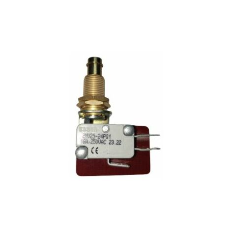 Microrupteur Poussoir à ressort RS PRO, Connexion rapide, DPDT, 16 A @ 250 V CA 250V ( Prix pour 1 )