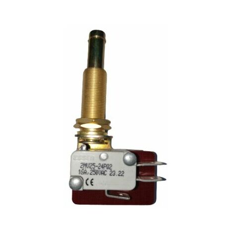 Microrupteur Poussoir à ressort RS PRO, Connexion rapide, DPDT, 16 A @ 250 V CA 250V ( Prix pour 1 )