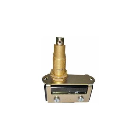 Microrupteur Poussoir à ressort RS PRO, Vis, SPDT, 15 A 125/250/440V ( Prix pour 1 )
