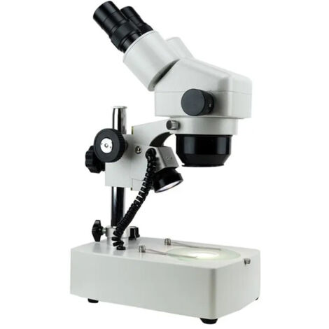 Microscope stéréo bioculaire à zoom - Blanc