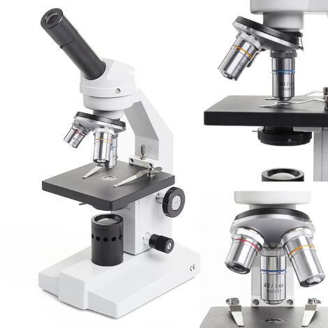 Microscopio biológico monocular Techrebal BM ONE 400x (M100FL)