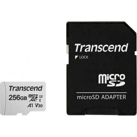 Microsdxc 256 gb u3 r95w40