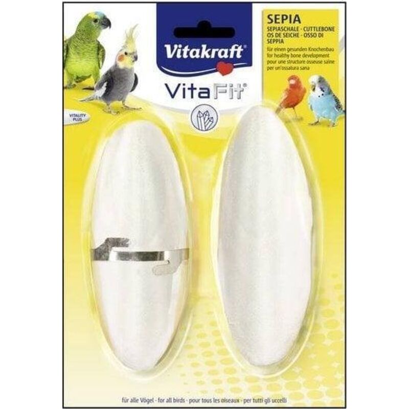 Microsoft VitaFit Os de Seiche Naturel pour Oiseaux