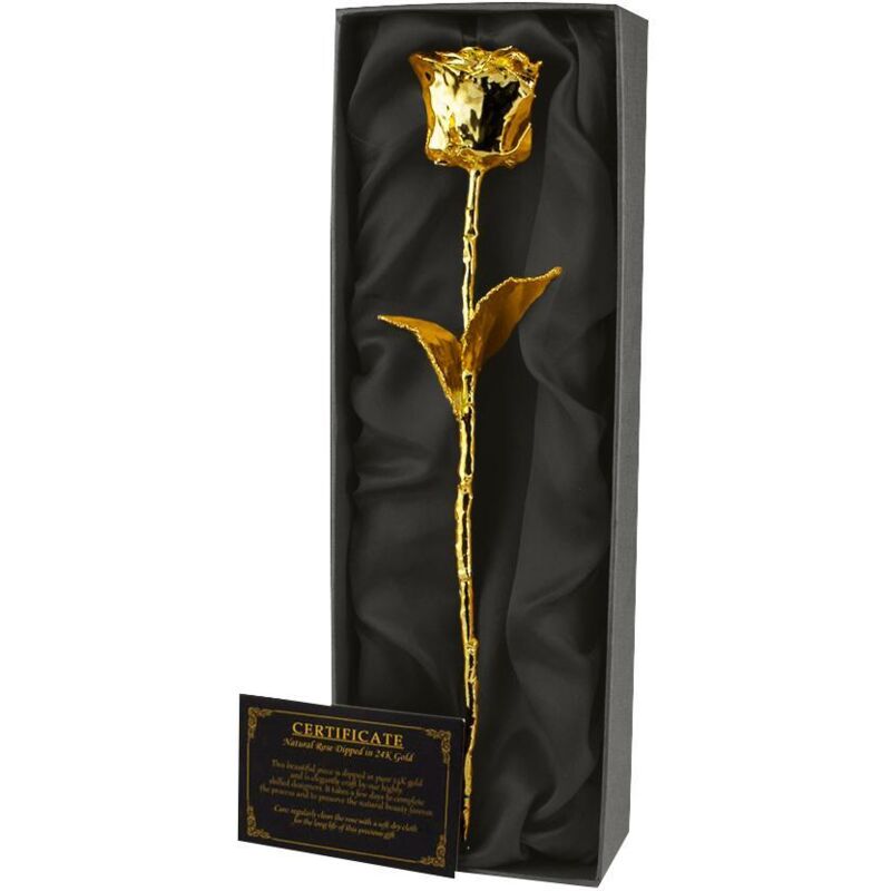 Rosa dell'eternità placcata oro in confezione