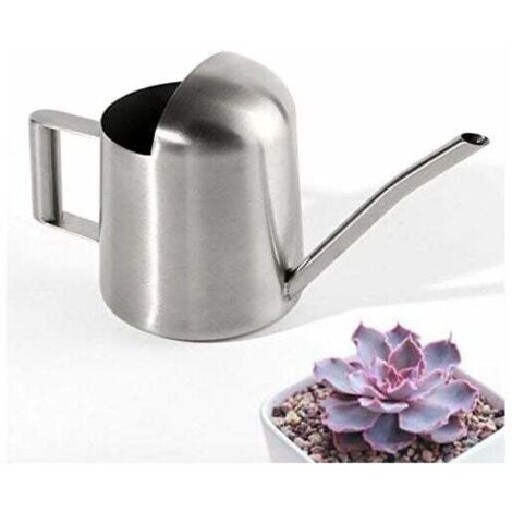 Mini Arrosoir de Jardin en Acier Inoxydable pour la Maison et Bureau Plantes-Fei Yu
