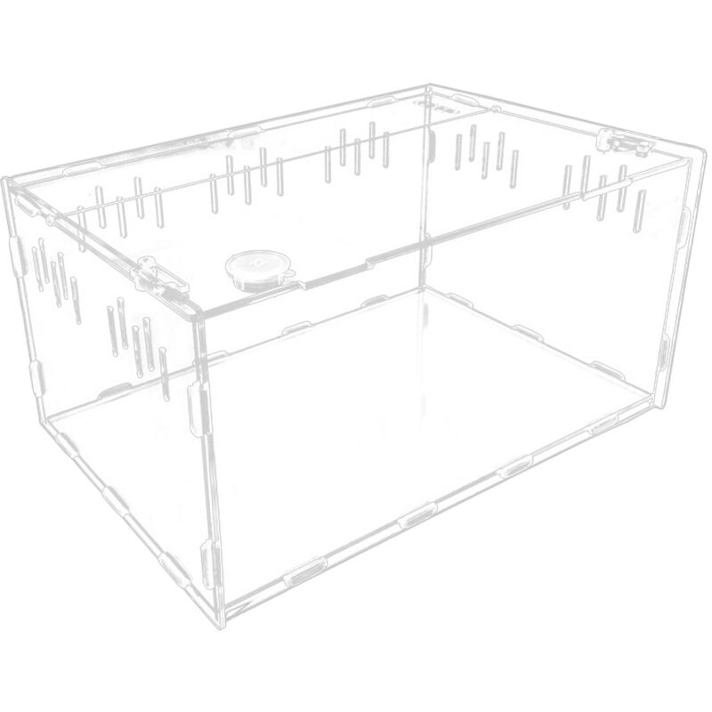 Mini bac à terrarium, bac à reptiles en acrylique, bac à reptiles vidable, bac à reptiles transparent pour fusains, escargots, bouchons d'oreilles,