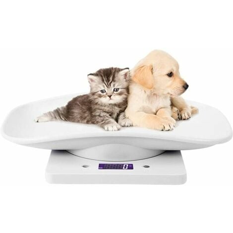 Mindpet-med Balance numérique pour chien chat 3 modes de pesage (kg/oz/lb),  99,8 kg (lbs) Capacité de précision 9,9 g, 35,4 x 23,6 in, tapis de yoga