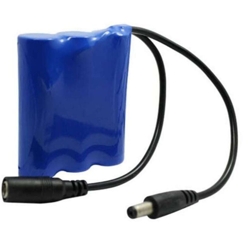 Leclubled - Mini Batterie Rechargeable DC12V - 2000mAh avec chargeur