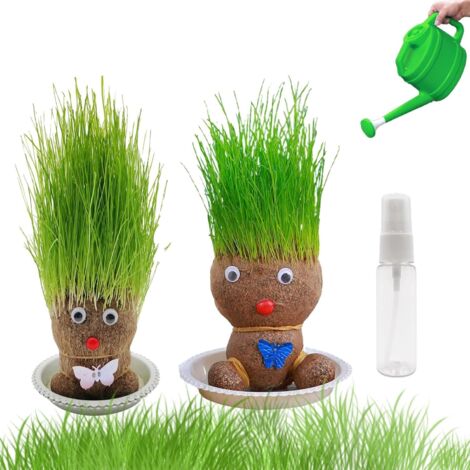 Mini bonsai a forma di bambola con testa d'erba, 2 piante , pianta a forma di testa d'erba, pianta a forma di bambola con testa d'erba, bambola con testa d'erba con vassoio (M2)