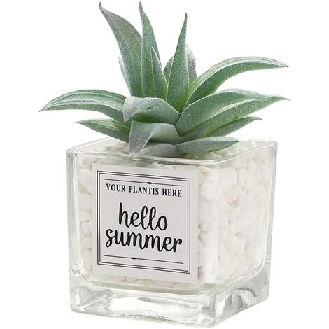 Mini Bonsaï en Verre Doux Plante Succulente Artificielle Plante en Pot (Ananas) Décoration de Bureau