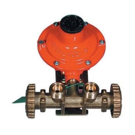 MINI-CENTRALINA CON REGOLATORE 2202 SENZA MANICHETTE kg. / h 7