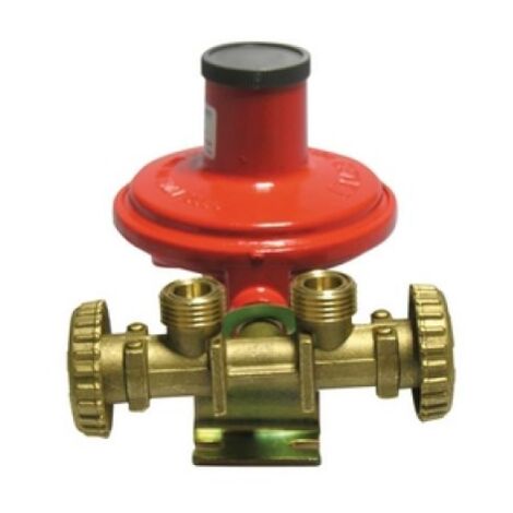 MINI CENTRALINA CON REGOLATORE 2205 SENZA MANICHETTE Kg./ h 10