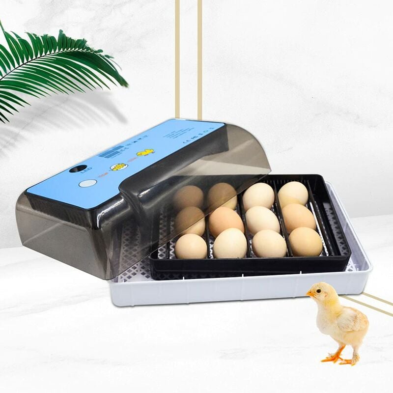 Senderpick - Mini couveuse digitale 12 oeufs Couveuse entièrement automatique Couveuse pour oeufs de poule avec led Température et humidité pour