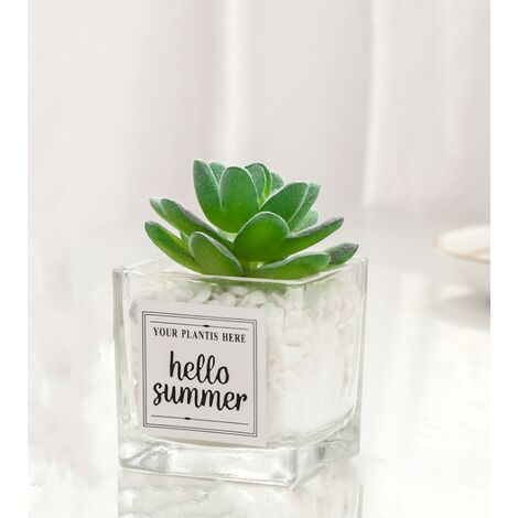 Mini décoration de bureau de plante en pot artificielle de bonsaï en verre mignon (bergamote)