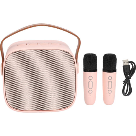 Ensemble de karaoké avec mini haut-parleur Bluetooth portable avec 2 microphones sans