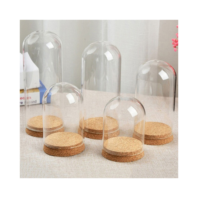 Mini espositore in vetro trasparente copertura per...