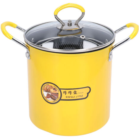 Mini-Fritteuse aus Edelstahl (3 Liter) mit Ölfilter und Deckel für die Küche