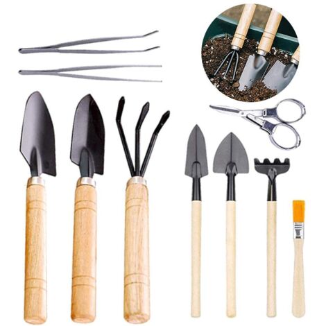 Mini-Gartenwerkzeugset für Sukkulenten und zum Umpflanzen