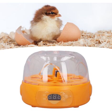 Mini incubadora automática con volteador de huevos para 6 huevos (de gallina, pato o codorniz), 100–240 V (enchufe británico), color amarillo.