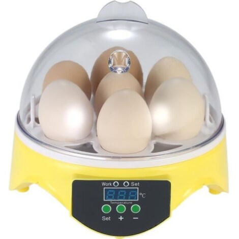 Mini Incubateur d'Oeufs en 15.5x 15.5 x15cm FUIENKO