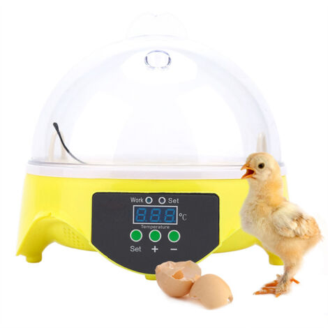 Mini incubateur numérique pour 7 œufs de poules, canards et autres oiseaux (kit d'outils)